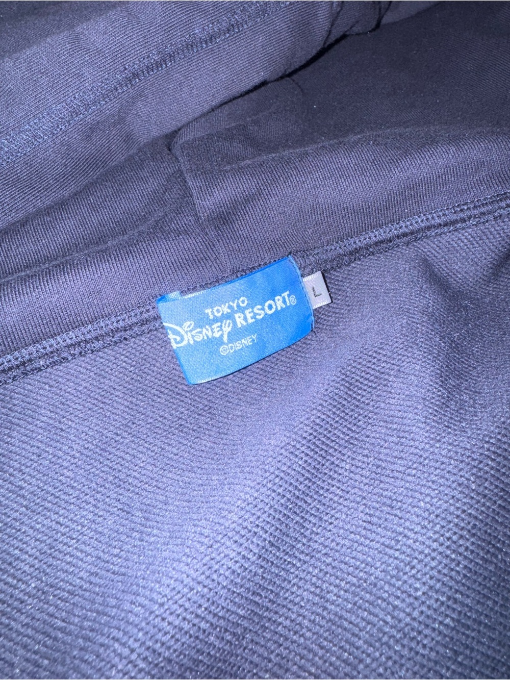 Disney Tokyo Resort Navy Men’s Jacket